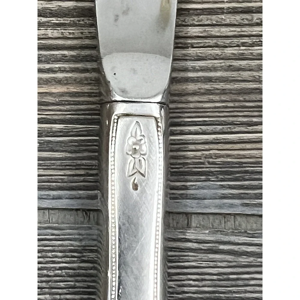Oneida Dinner Knives Stainless Steel Morning Blossom Pattern Set Of 4 Vintage 9